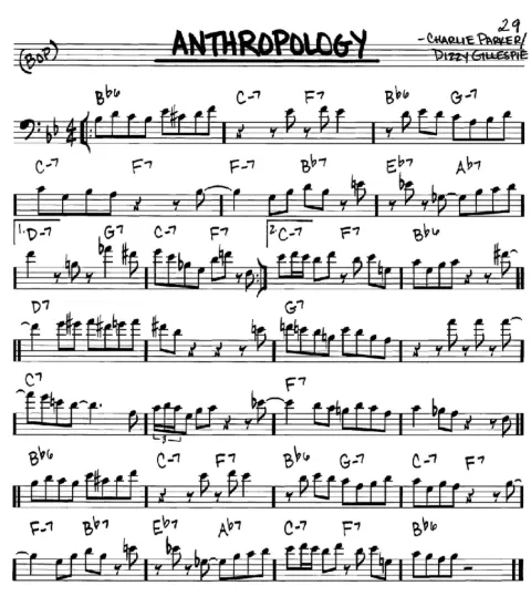 anthropology anthropology